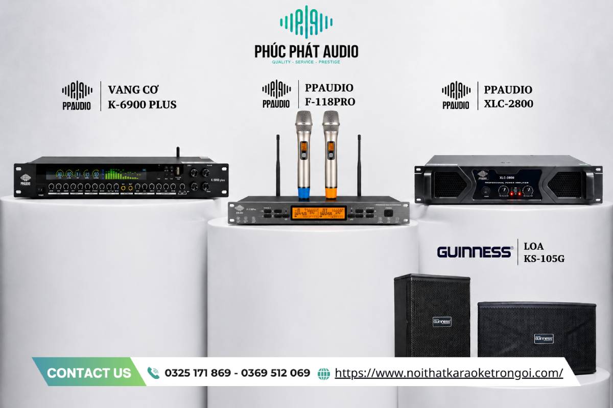 Dàn âm thanh Karaoke gia đình - ảnh 3