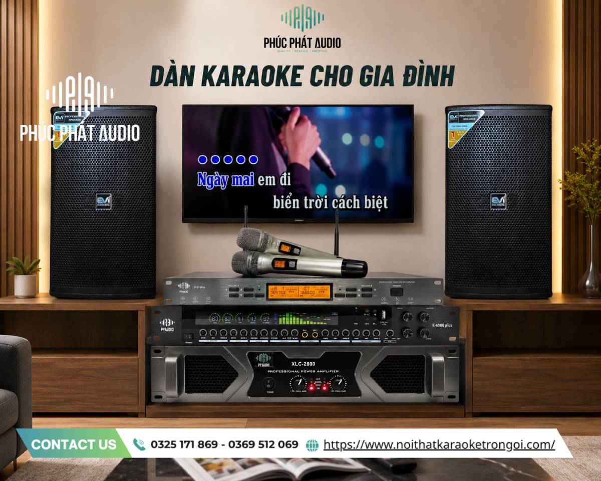 Dàn âm thanh Karaoke gia đình - ảnh 6