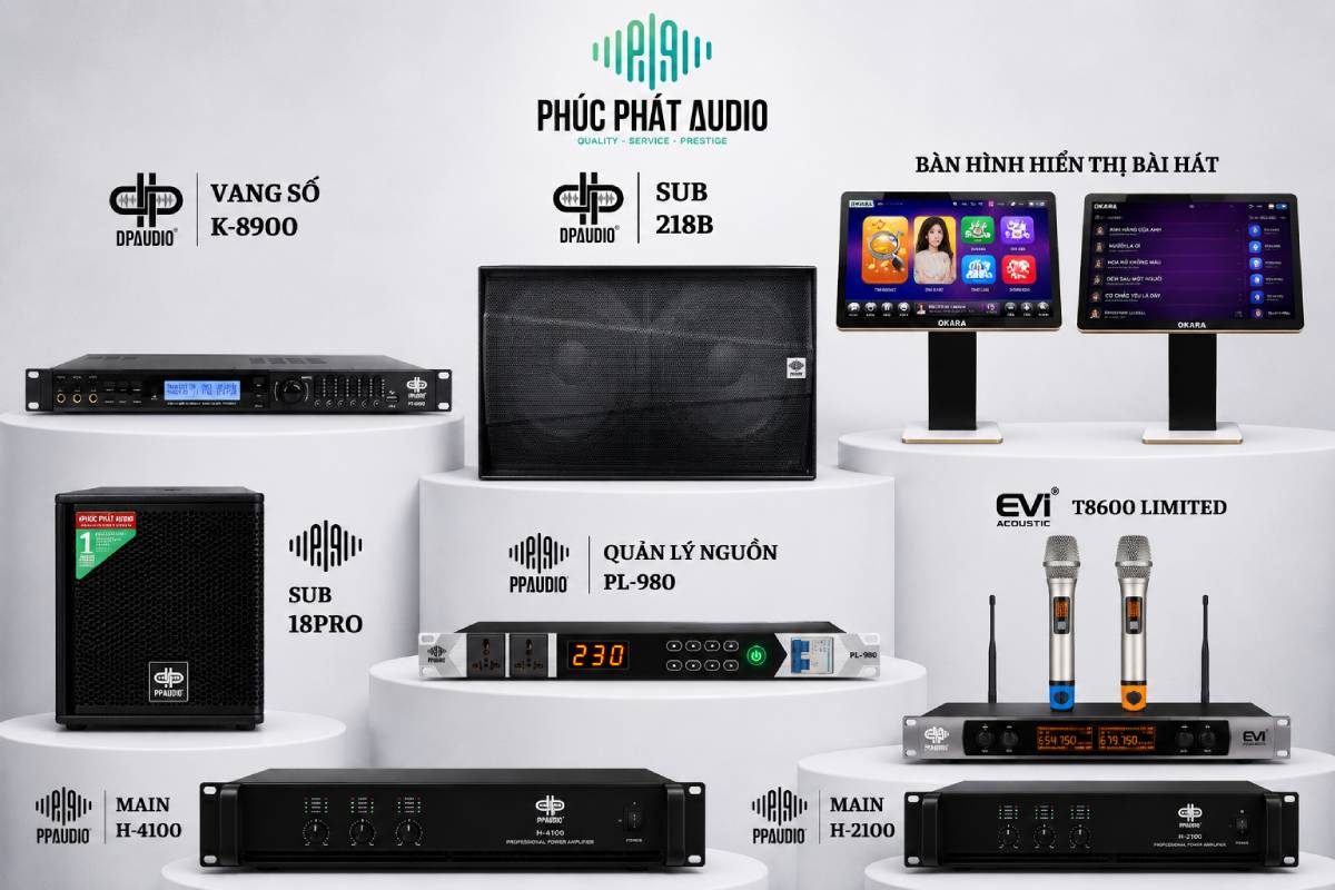 Dàn âm thanh Karaoke kinh doanh - ảnh 6