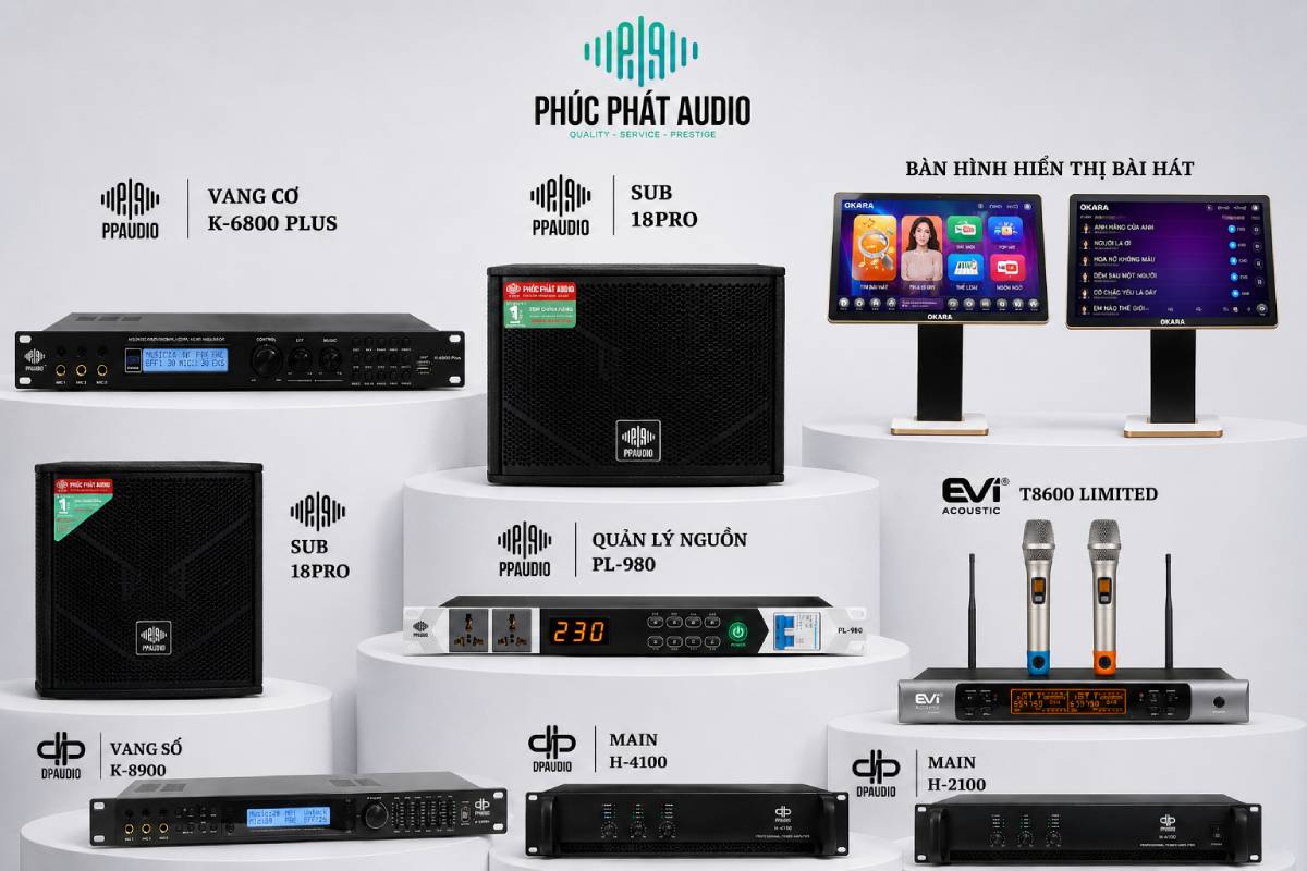 Dàn âm thanh Karaoke kinh doanh - ảnh 4