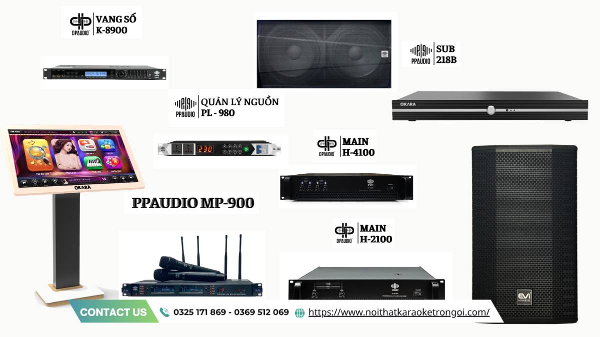 Dàn âm thanh Karaoke kinh doanh - ảnh 2