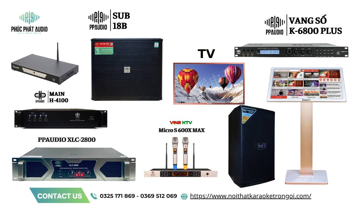 Dàn âm thanh Karaoke kinh doanh giá rẻ - ảnh 2