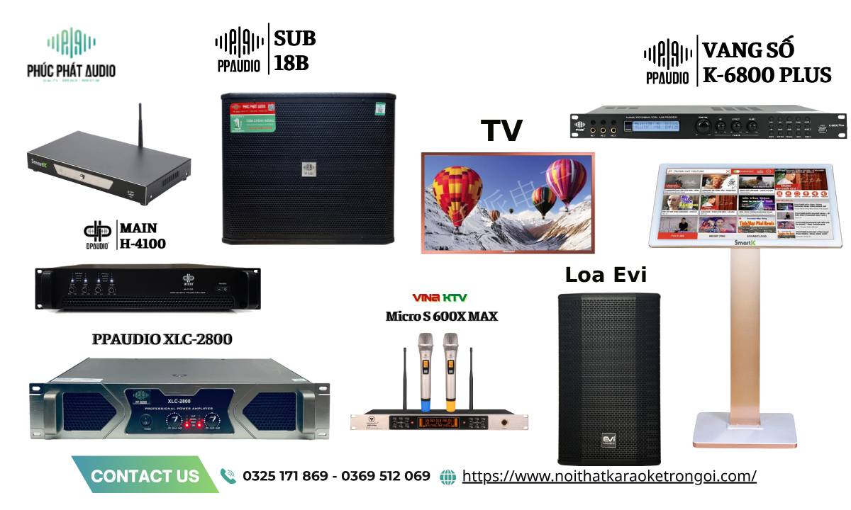 Dàn âm thanh Karaoke kinh doanh giá rẻ - ảnh 3