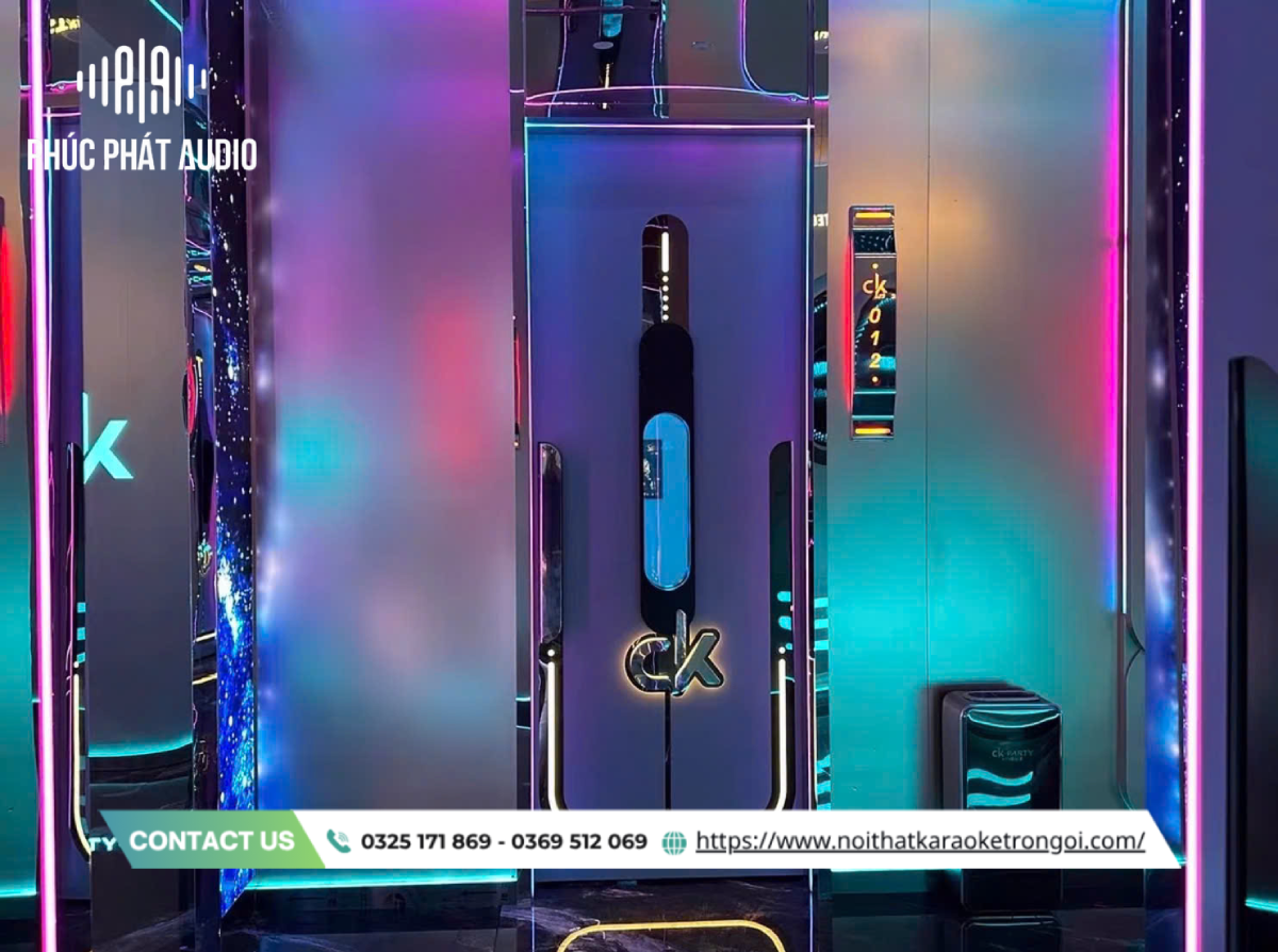 Mẫu cửa phòng karaoke hiện đại - ảnh 2