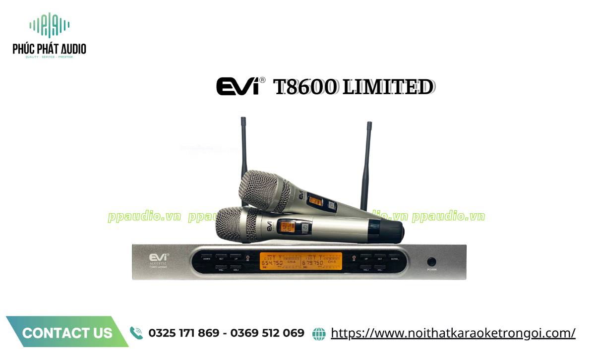 Micro Karaoke không dây - ảnh 8
